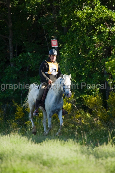 IMG_7908PL.JPG