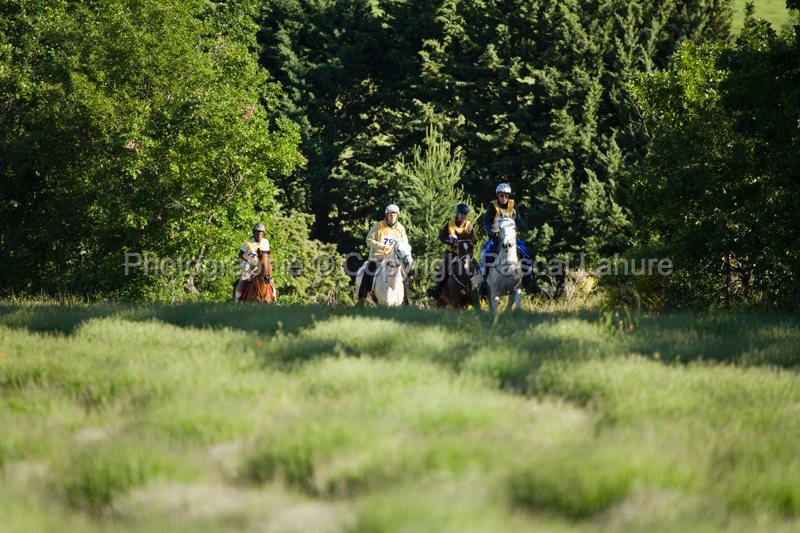 IMG_7911PL.JPG