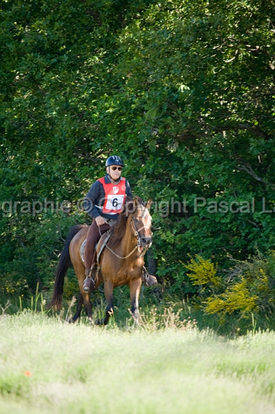 IMG_7936PL.JPG