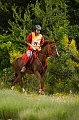 IMG_8077PL