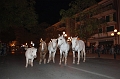 _42I0937_CDE06_Pascal_Lahure_2013