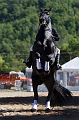 EJ9C6083_Pascal_Lahure
