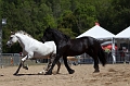 EJ9C6361_Pascal_Lahure