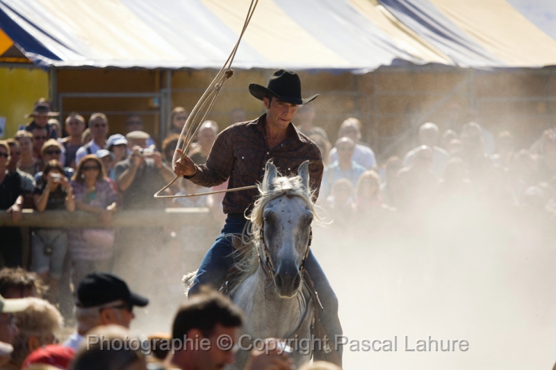 IMG_1284PL.JPG