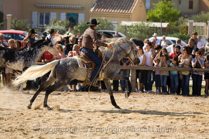 IMG_1299PL.JPG