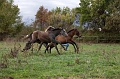 _42I0161_Pascal_Lahure