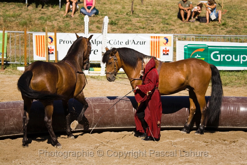 IMG_0819PL.JPG