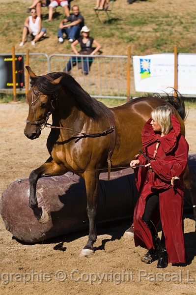 IMG_0824PL.JPG