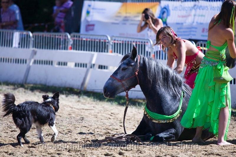 IMG_0874PL.JPG