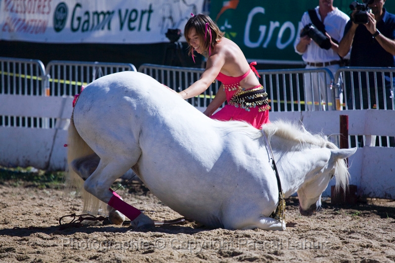 IMG_0883PL.JPG