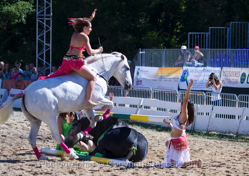 IMG_0884PL.JPG