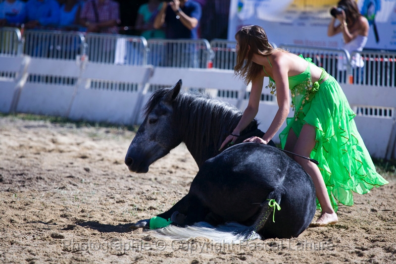 IMG_0902PL.JPG
