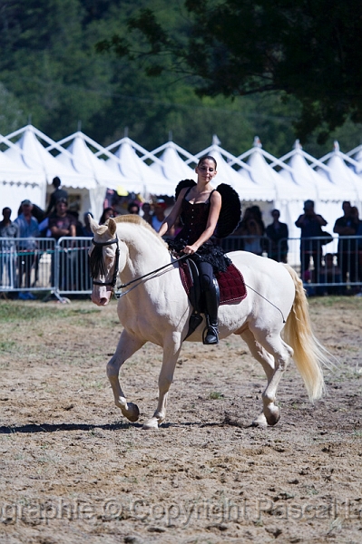 IMG_0918PL.JPG