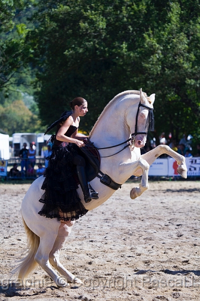 IMG_0943PL.JPG