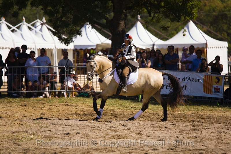IMG_0987PL.JPG