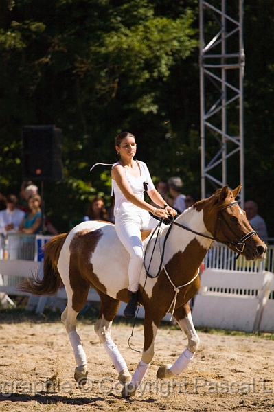 IMG_1016PL.JPG