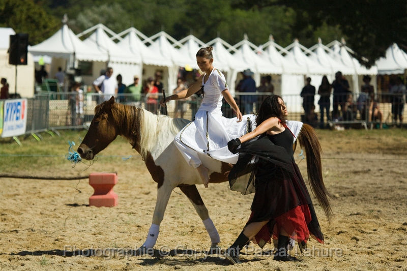 IMG_1029PL.JPG
