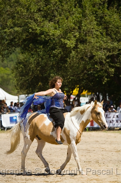 IMG_1131PL.JPG