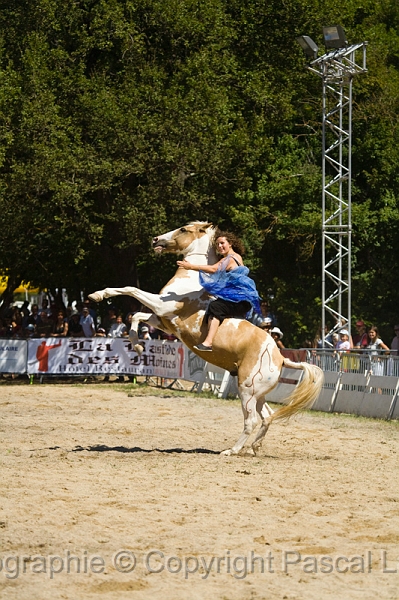 IMG_1137PL.JPG
