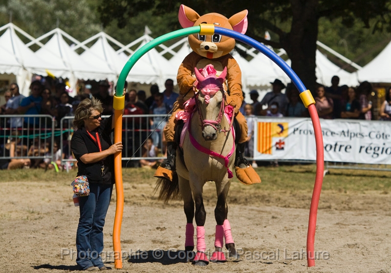 IMG_1152PL.JPG
