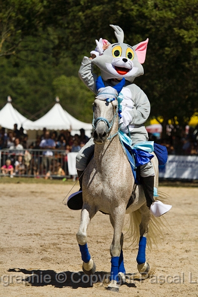 IMG_1162PL.JPG