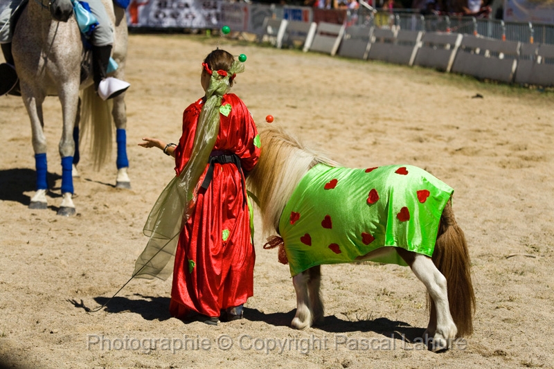IMG_1164PL.JPG