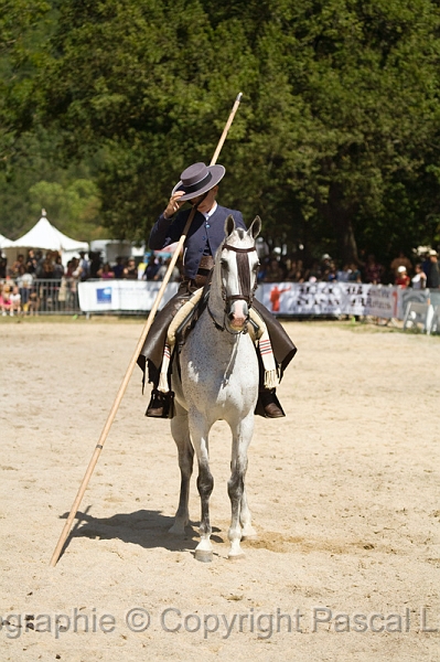 IMG_1195PL.JPG