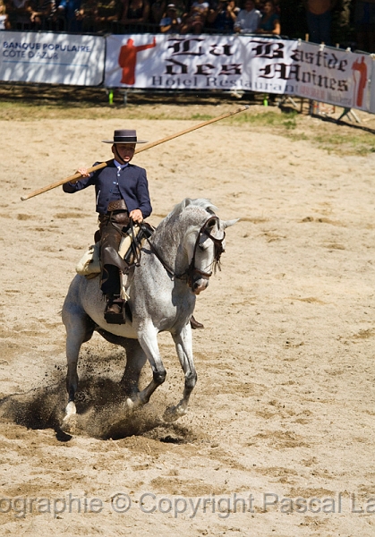 IMG_1234PL.JPG