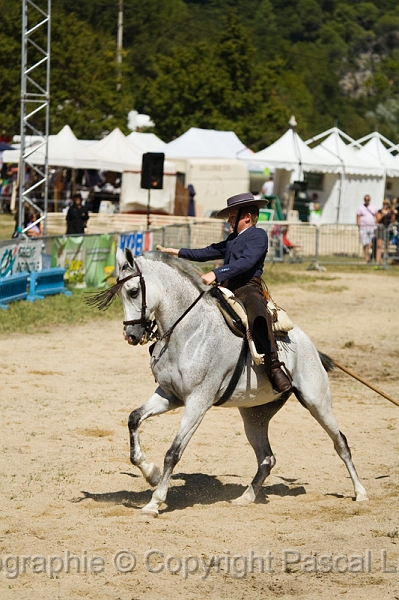 IMG_1242PL.JPG