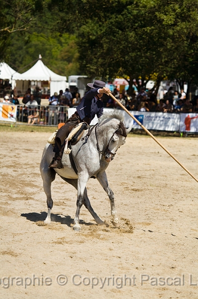 IMG_1247PL.JPG