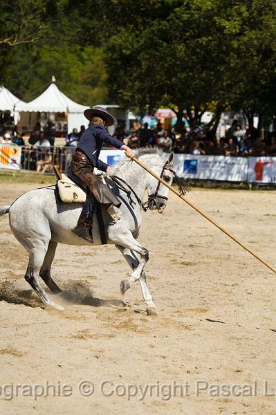 IMG_1248PL.JPG