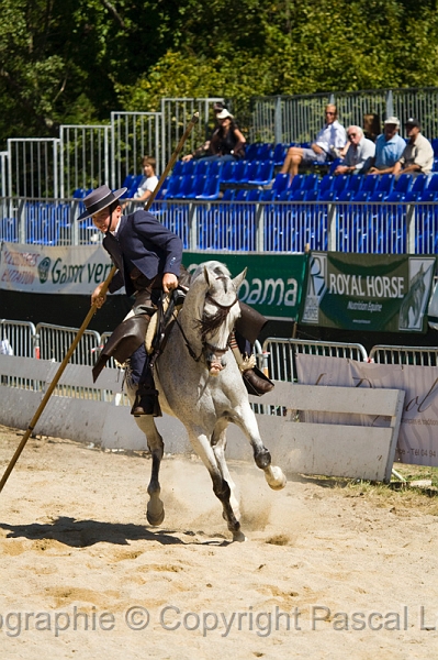 IMG_1254PL.JPG