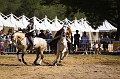 IMG_0995PL