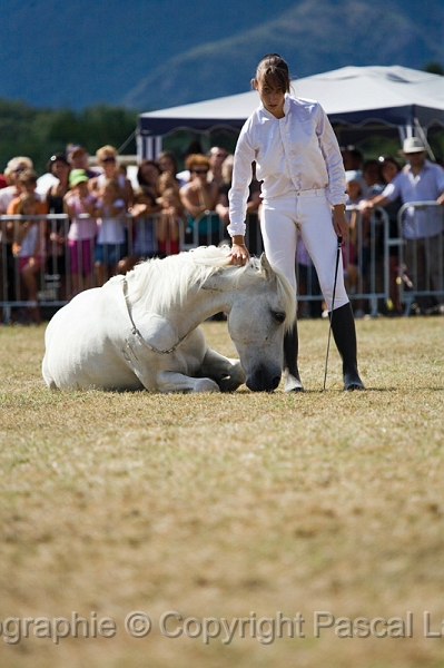 IMG_9012PL.JPG