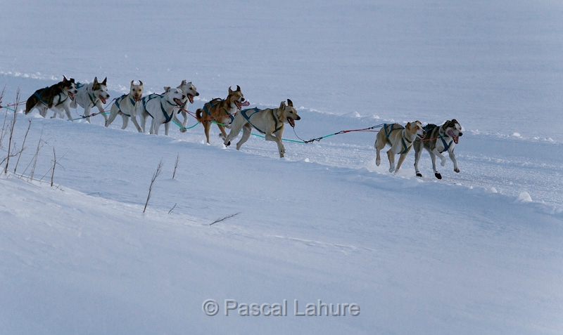 IMGL3602_Pascal_Lahure_LGO_16_01_2011i.jpg