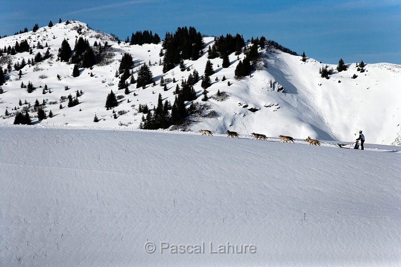 _F5Q1407_Pascal_Lahure_LGO_14_01_2011i.jpg