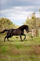 _42I0323_Pascal_Lahure