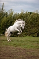_42I0374_Pascal_Lahure
