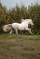 _42I0448_Pascal_Lahure