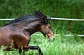 _F5Q6547_Pascal_Lahure