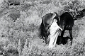 DSC_7632i_Pascal_Lahure