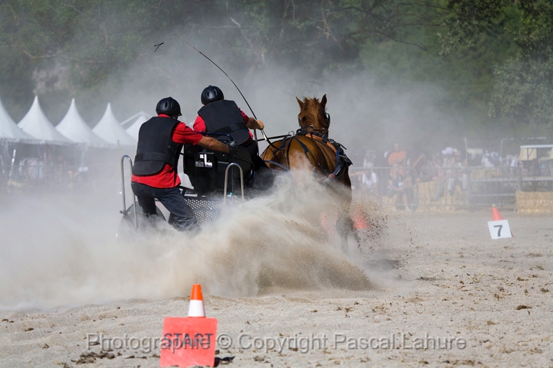 IMG_0825PL.JPG