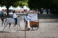 _42I7907_Pascal_Lahure