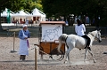 _42I7908_Pascal_Lahure