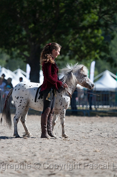_F5Q0669_Pascal_Lahure.JPG