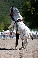 _42I7958_Pascal_Lahure