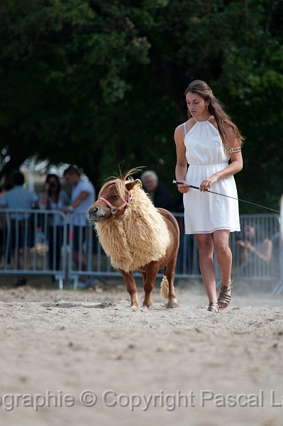 _F5Q0718_Pascal_Lahure.JPG