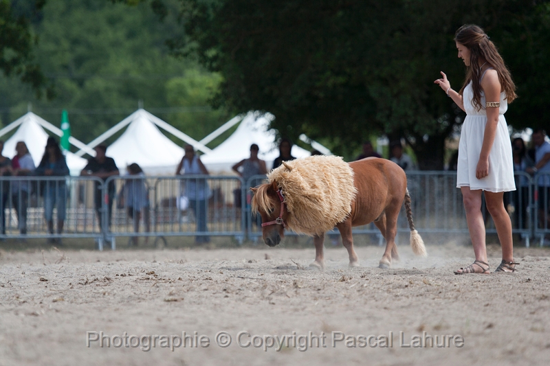 _F5Q0730_Pascal_Lahure.JPG