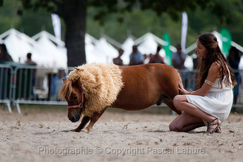 _F5Q0732_Pascal_Lahure.JPG