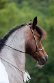 _F5Q0827_Pascal_Lahure